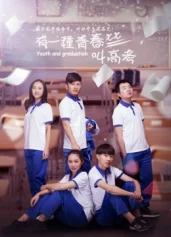 Có một thanh xuân tên Thi đại học College Entrance Examination