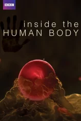 Inside the Human Body Inside the Human Body