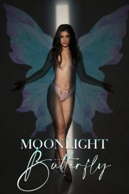 Moonlight Butterfly Moonlight Butterfly