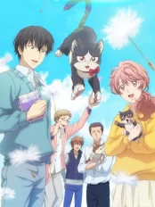 Bạn cùng phòng là mèo My roommate is sometimes on my knees, sometimes on my head