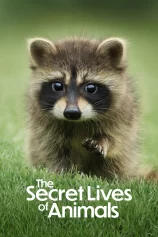 Bí Ẩn Về Thế Giới Động Vật The Secret Lives of Animals