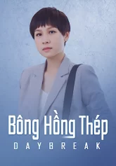 Bông Hồng Thép Daybreak 2019