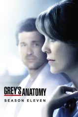 Ca Phẫu Thuật Của Grey (Phần 11) Grey's Anatomy (Season 11)