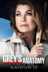 Ca Phẫu Thuật Của Grey (Phần 12) Grey's Anatomy (Season 12)