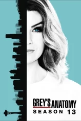 Ca Phẫu Thuật Của Grey (Phần 13) Grey's Anatomy (Season 13)