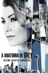 Ca Phẫu Thuật Của Grey (Phần 14) Grey's Anatomy (Season 14)