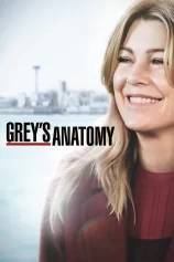 Ca Phẫu Thuật Của Grey (Phần 15) Grey's Anatomy (Season 15)
