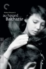 Chú Lừa Balthazar Au hasard Balthazar