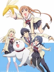 Cô Nàng Ngốc – Aho Girl Aho Girl