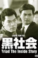 Cuộc Chiến Hội Tam Hoàng Triads The Inside Story