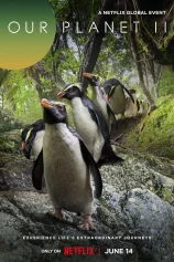 Hành Tinh Của Chúng Ta (Phần 2) Our Planet (Season 2)