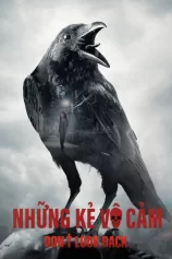 Những Kẻ Vô Cảm Don't Look Back