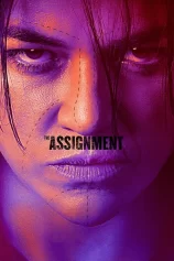 The Assignment The Assignment