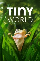 Thế Giới Siêu Nhỏ (Phần 2) Tiny World (Season 2)