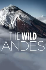 The Wild Andes The Wild Andes
