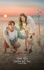 Tình Yêu Chốn Đô Thị Lovestruck in the City