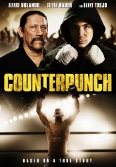 Trả đòn Counterpunch