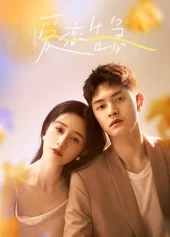 Yêu Lần Nữa Fall In Love Again