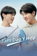 Tâm Đầu Ý Hợp A Perfect Match