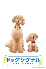 Tín Hiệu Cún Cưng Dog Signal