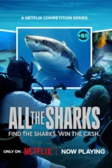 Đi tìm cá mập All the Sharks